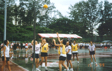 netball.gif (43670 bytes)